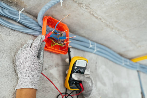 Best Electric Panel Repair  in Farmersville, TX